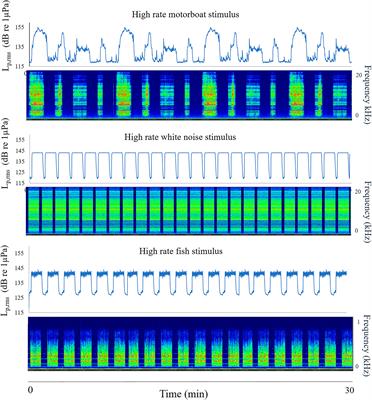 Anthropogenic and biological sound effects on the maternal care behavior of a key crab species